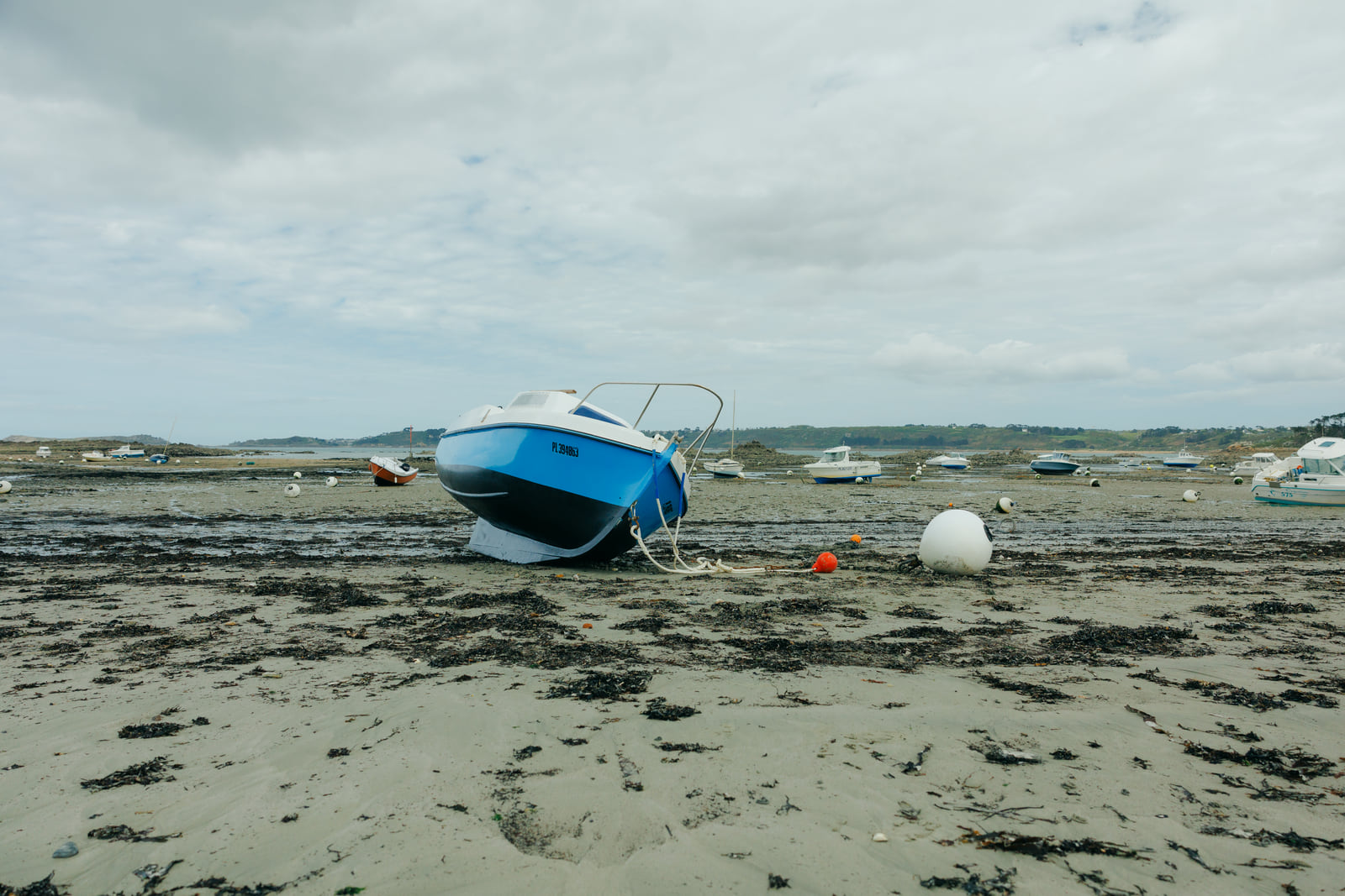 A small blue boat resting on wet sand beneath an overcast sky.