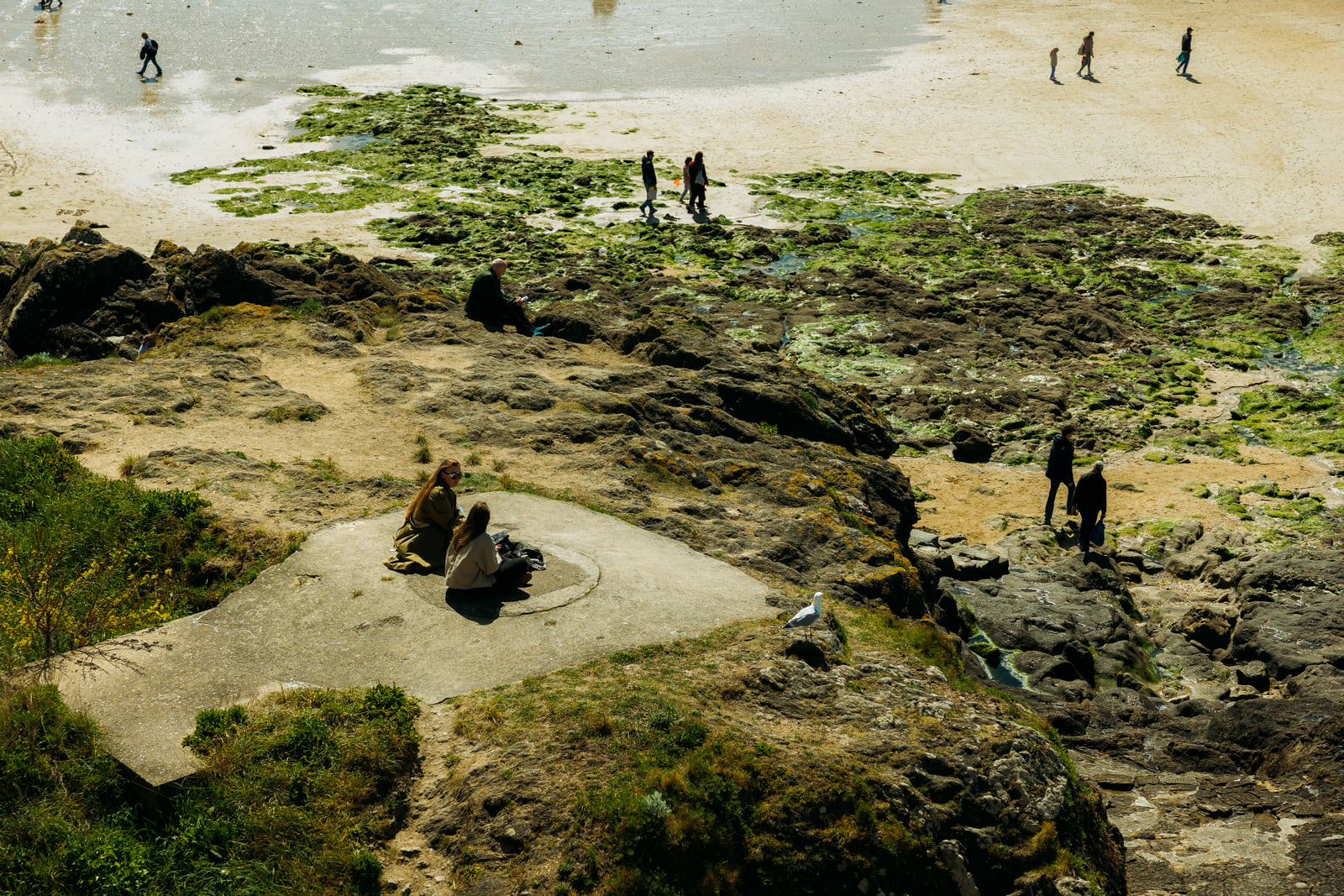 Figures scattered across textured rocks at low tide.